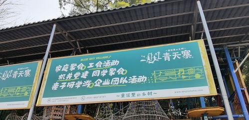 從藍(lán)圖到精彩 大型公司團(tuán)建拓展活動的完美組織全攻略